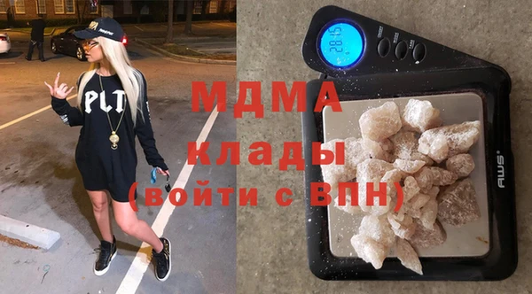 прущие грибы Бронницы
