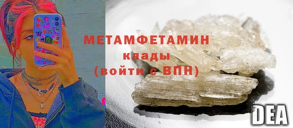 прущие грибы Бронницы