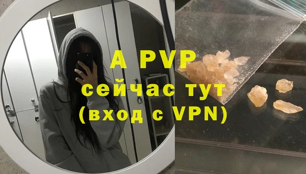 прущие грибы Бронницы