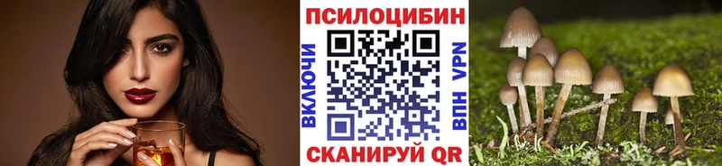 Псилоцибиновые грибы Cubensis Буинск